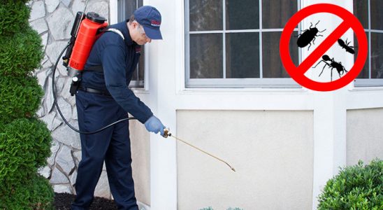 Muratlı Gümüşkurt İlaçlama böcek ilaçlama ve haşere kontrolü — ilaclama-tr.com